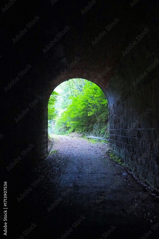 Obraz premium 大棚トンネル