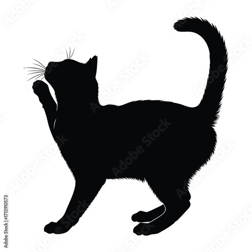 Black Cat Silhouette: A sleek silhouette of a domestic cat, its form perfectly outlined against a backdrop, creating a striking image.