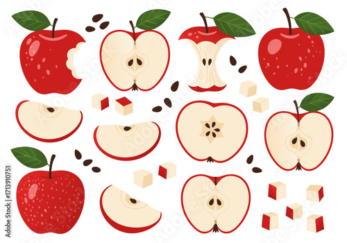 Red Apple Vector Illustration Slices, Bites, Seeds 