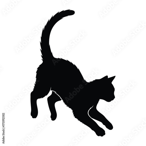 Black Silhouette Cat: A sleek and graceful silhouette of a cat, poised in mid-motion, embodies feline agility and mystique against a stark background.