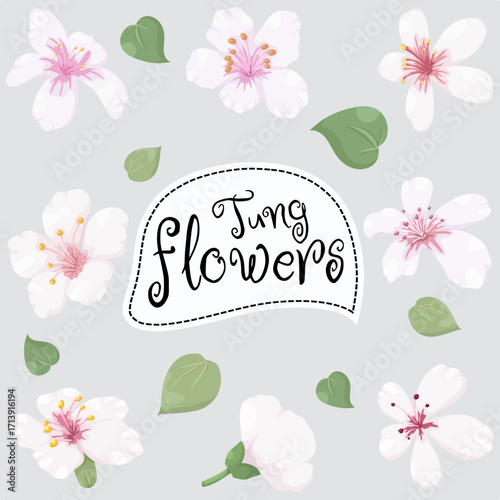 Vector illustration of Tung flower set isolated on a gray background.