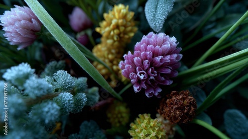 Frost-kissed flora whisper secrets of winter solstice rituals and Imbolc's icy embrace in shadowy woodland refuge