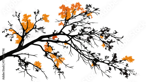 Stylized Autumn Tree Branch Silhouette with Vibrant Orange Leaves on White Background - Fall Season Vector Graphic Design Element