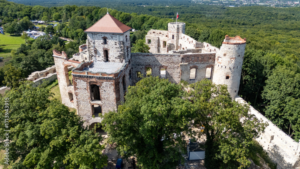 Fototapeta premium Tenczyn Castle, aerial view, Poland