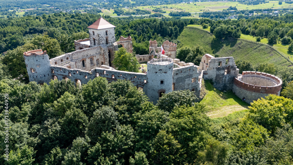 Fototapeta premium Tenczyn Castle, aerial view, Poland