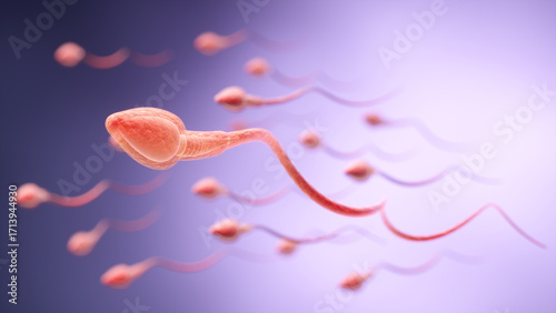 Sperm Cells Swimming Towards Fertilization