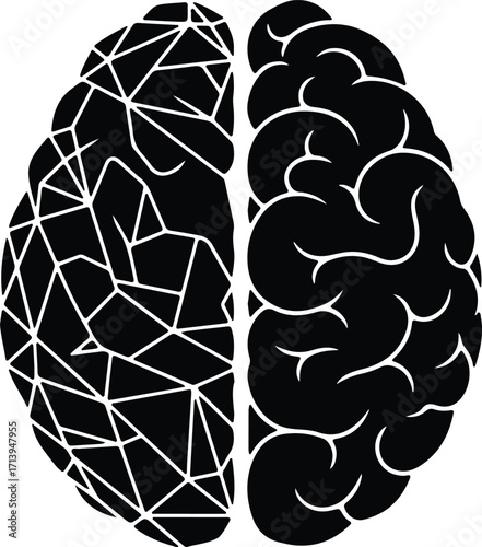 Vector Brain hemispheres left right split silhouette illustrator