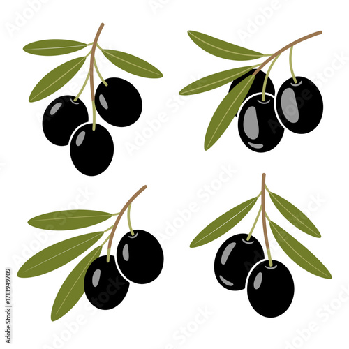 Black Olive Branch Isolated on White Background Realistic Olive Illustration Vector Graphic for Food and Nature Related Designs