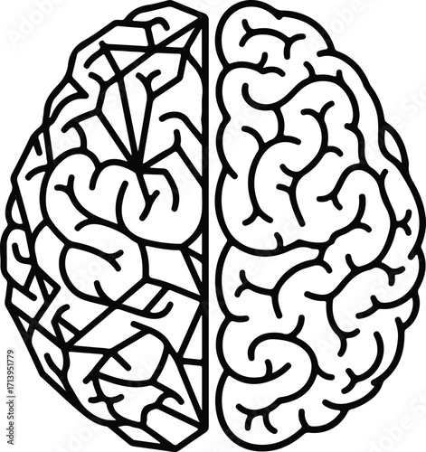 Vector human brain hemispheres schematic thinking process silhouette illustrator