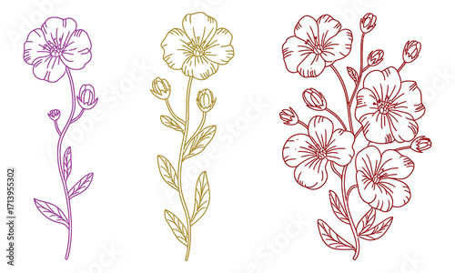 Flax flower graphic black, white, yellow and red isolated sketch illustration vector.