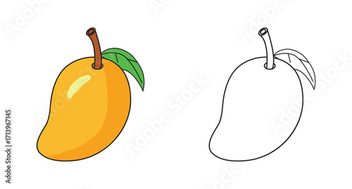 Vibrant mango illustration and outline, perfect for educational materials or summer fruit designs