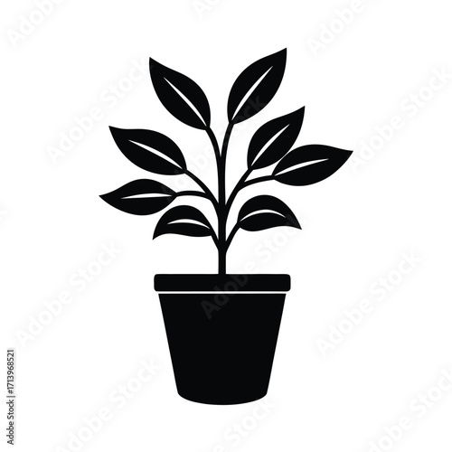 House Plant Pot Icon Illustration