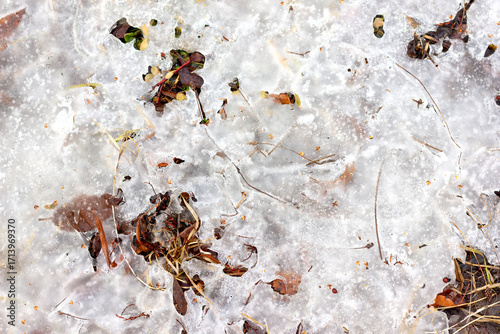 Texture of frozen grass and autumn leaves under ice close-up