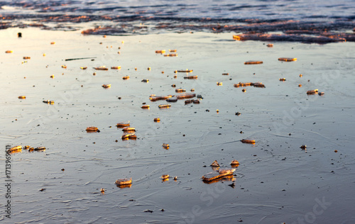 Pieces of ice are illuminated by the red light of the sunset on the river in winter