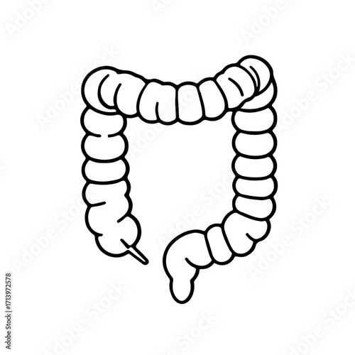 Large Intestine Outline Icon　大腸のアイコン　イラスト　ベクター画像　背景透過