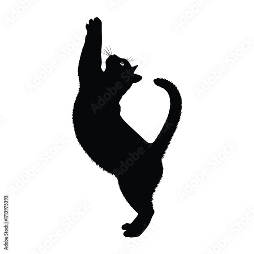 Black Cat Silhouette: A sleek black cat stands on its hind legs, reaching upwards with an expression of curiosity and playfulness. Its silhouette against the backdrop evokes mystery and elegance.