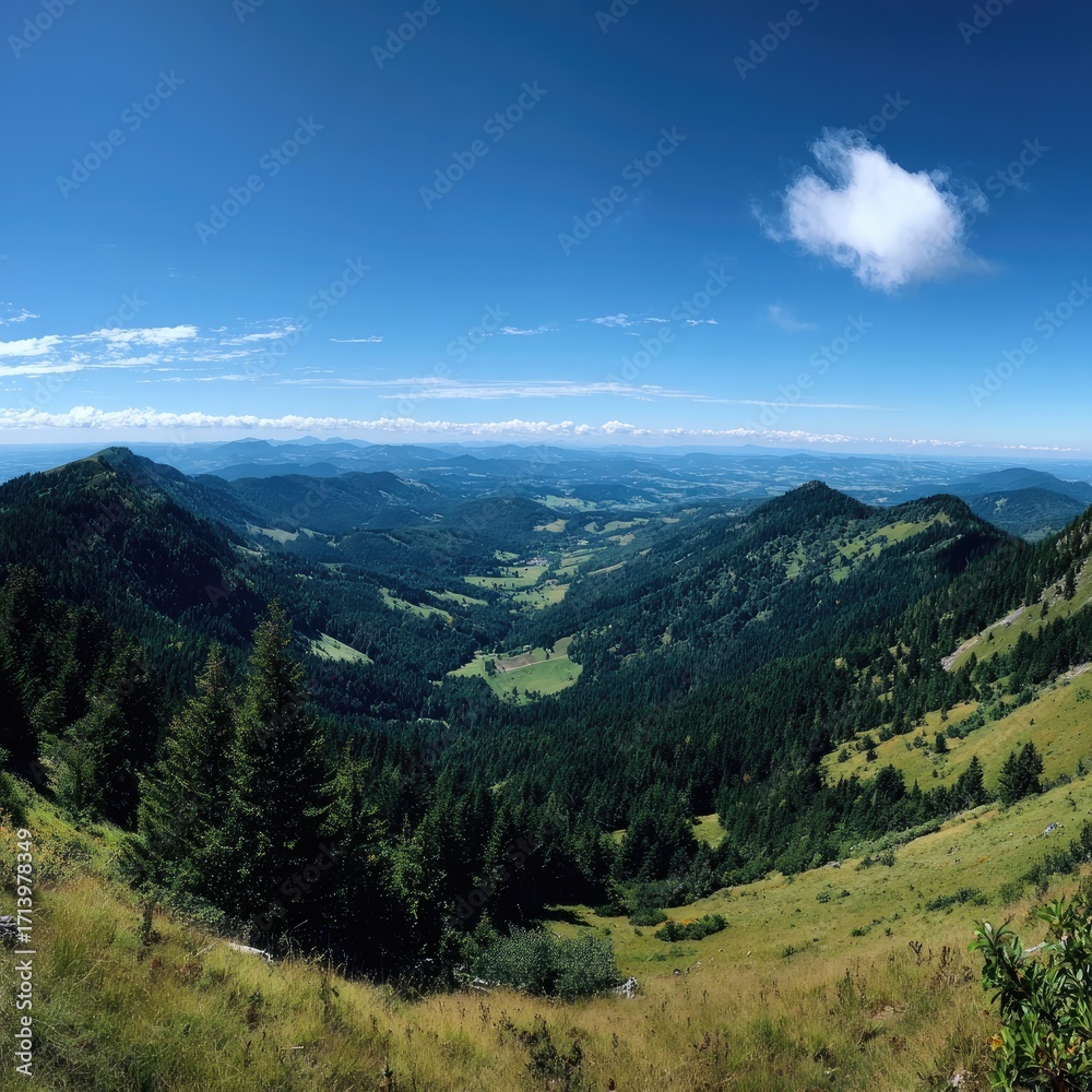 Fototapeta premium Panoramic mountain vista. Vast valley, lush forests, clear sky