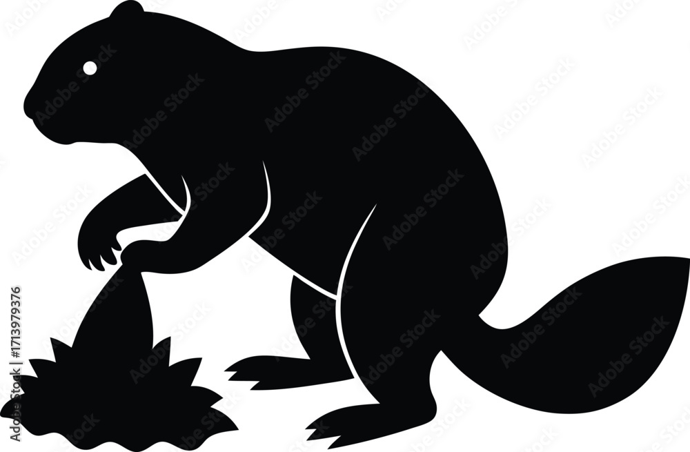Fototapeta premium Vector animal drawings of a funny cartoon cat and dog, as well as a wild elephant and cute bear illustration, with a black silhouette of a hippo and pig