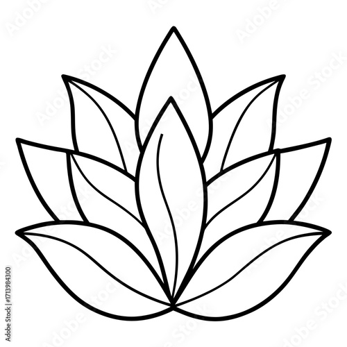  oyster plant spanish line art vector on white