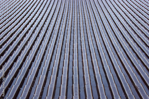Close-up of traditional Japanese roof tiles arranged in symmetrical rows, showcasing architectural detail, cultural heritage, and classic design, perfect for backgrounds or construction concepts.