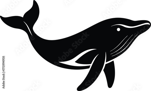 A fun, cute cartoon vector illustration of a marine mammal like a dolphin or a whale swimming in the blue ocean