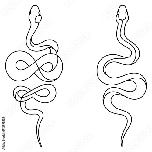 Set of two minimalist snake vector illustrations. One serpent is coiled in an eternal infinity loop