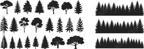 Tree silhouettes and forest vector, pine trees, deciduous woodland, natural greenery, outdoor landscape, evergreen plants, park illustration, jungle, scenery, nature
