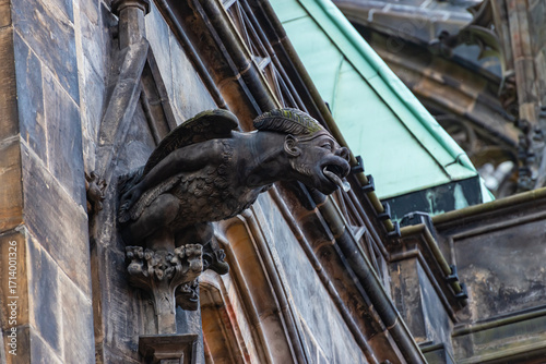 Gargoyle of St.Vitus Cathedral, detail of building