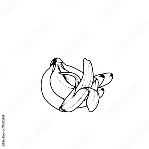 Banana Vector Illustration