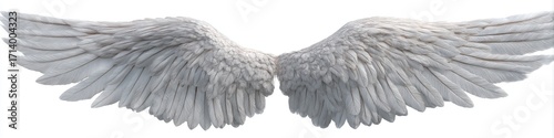 Pair of pristine white angel wings (2)