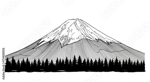 Hand drawn vector illustration of an iconic Japanese snow capped mountain with a dense pine forest, monochrome landscape sketch