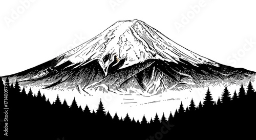 Majestic Mount Fuji in Black and White Landscape Illustration