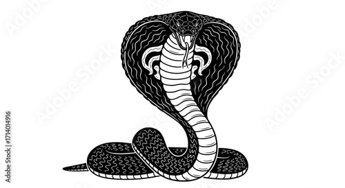 Elegant Black and White Cobra Serpent A Striking Illustration of a Venomous Snake