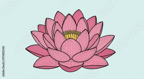Pink Lotus Flower Illustration Elegant Floral Design