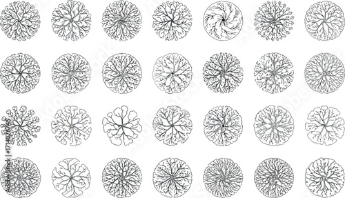 Vector art of top view illustration of various deciduous tree crowns