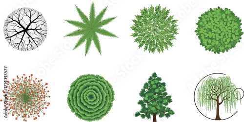 Vector art of collection of topdown view tree illustrations