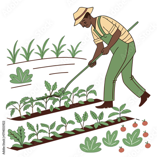 Farmer tending to rows of growing vegetables and small tomato plants in a garden setting
