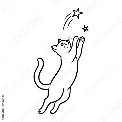 Whimsical Celestial Pursuit: A playful cat reaches toward a shooting star with boundless wonder, showcasing the simple pleasures of life and the magical possibilities of the cosmos.