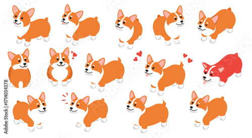 Playful corgi cartoon collection with various emotions and poses