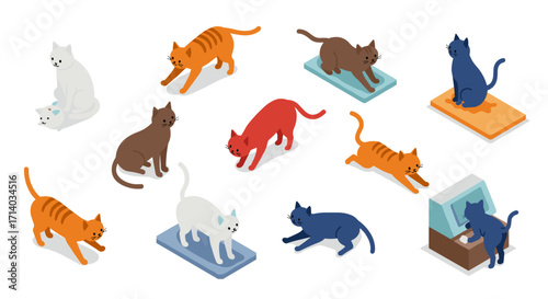 Isometric cats in playful poses with colorful platforms
