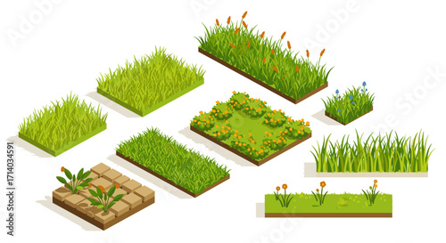 Lush grass and floral garden elements in isometric design for landscape creations