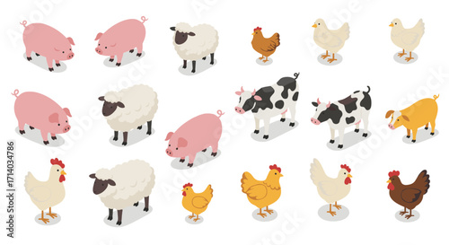 Isometric farm animals collection: pigs, sheep, chickens, cows