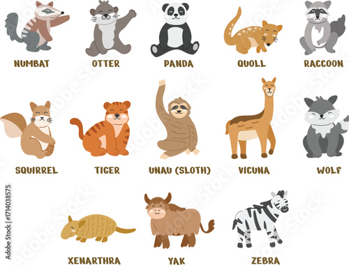 set of cute animal vector illustration