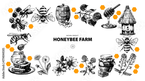 Hand drawn vintage honey frame. Hand drawn vector illustration. Packaging design