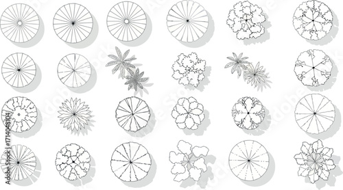 Vector art of assortment of diverse tree top view sketches