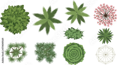 Vector art of collection of various green trees and plants from a topdown view