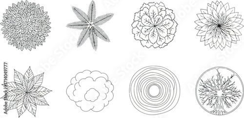 Vector art of set of detailed monochrome tree and plant topdown illustrations
