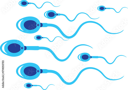 Blue Sperm Cell Vector Illustration Male Reproductive System Concept, Fertility and Biology Design