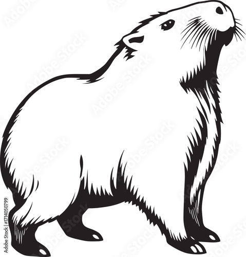 Capybara. Hand drawn vector illustration