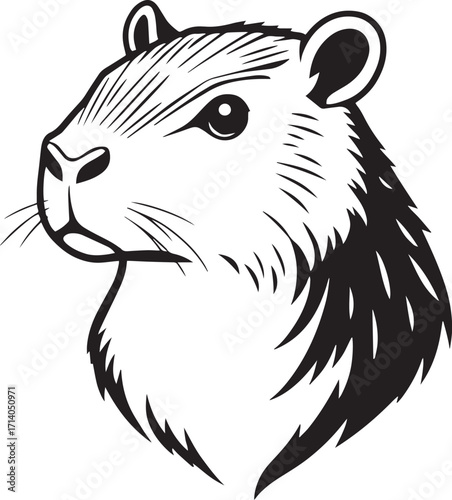 Capybara. Hand drawn vector illustration
